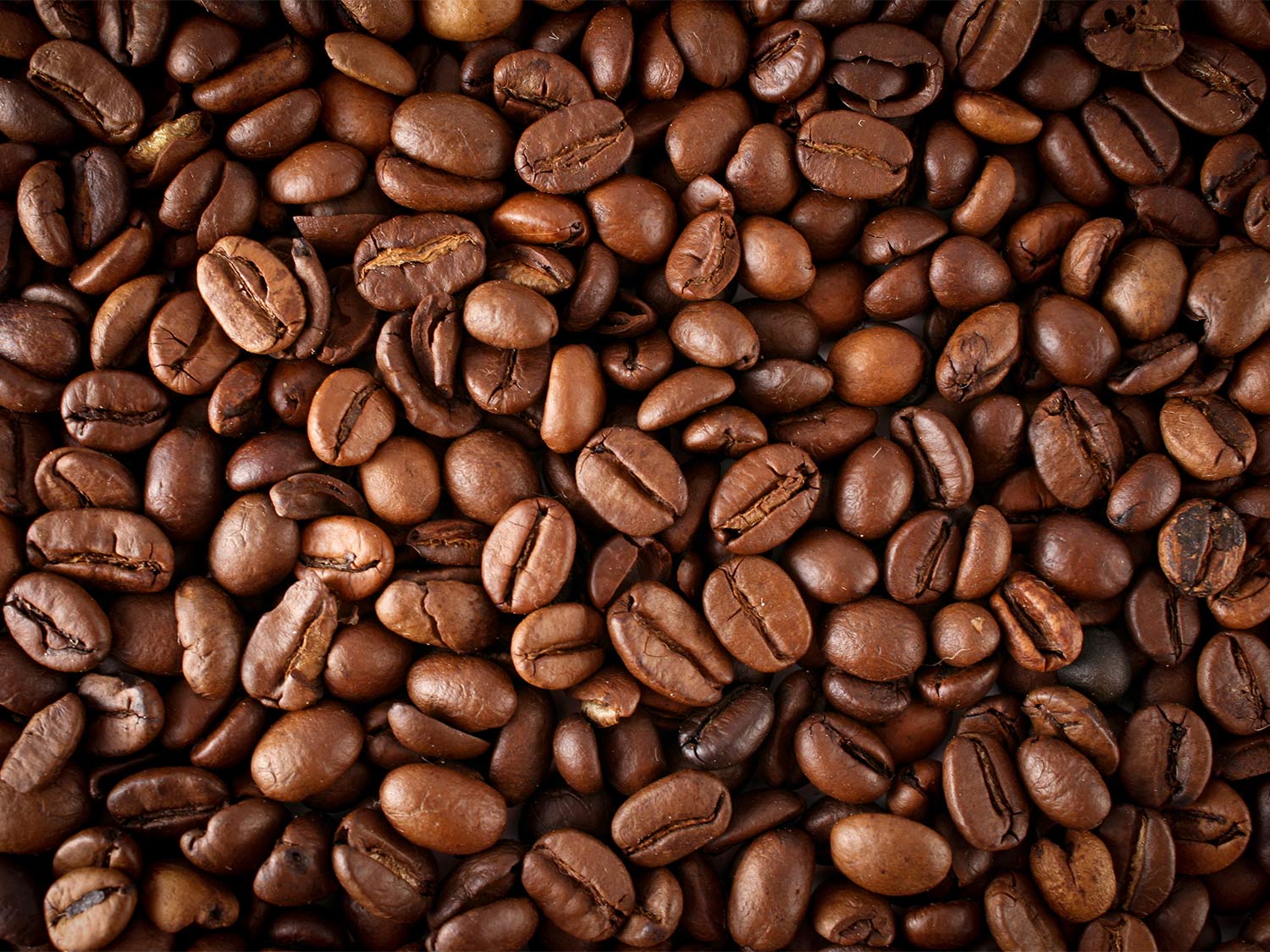 coffee beans Town of Ocean City, Maryland